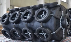 Lion Foam Fenders for Vietnam