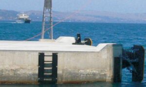 Marine ladders for docks